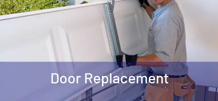  Door Replacement 